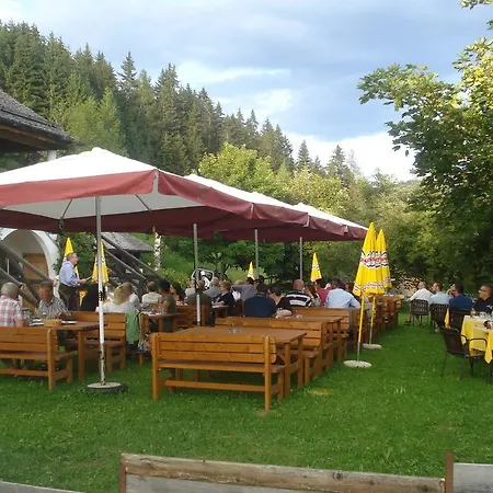 Hotel Alpenhotel Ratsberg 1650m